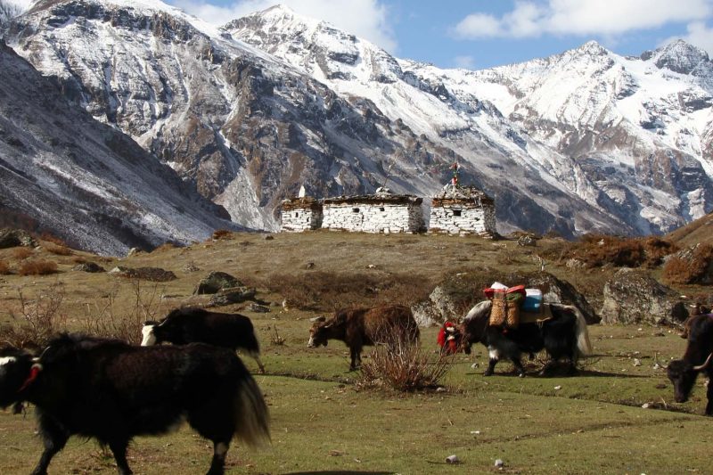 DRUK PATH TREK